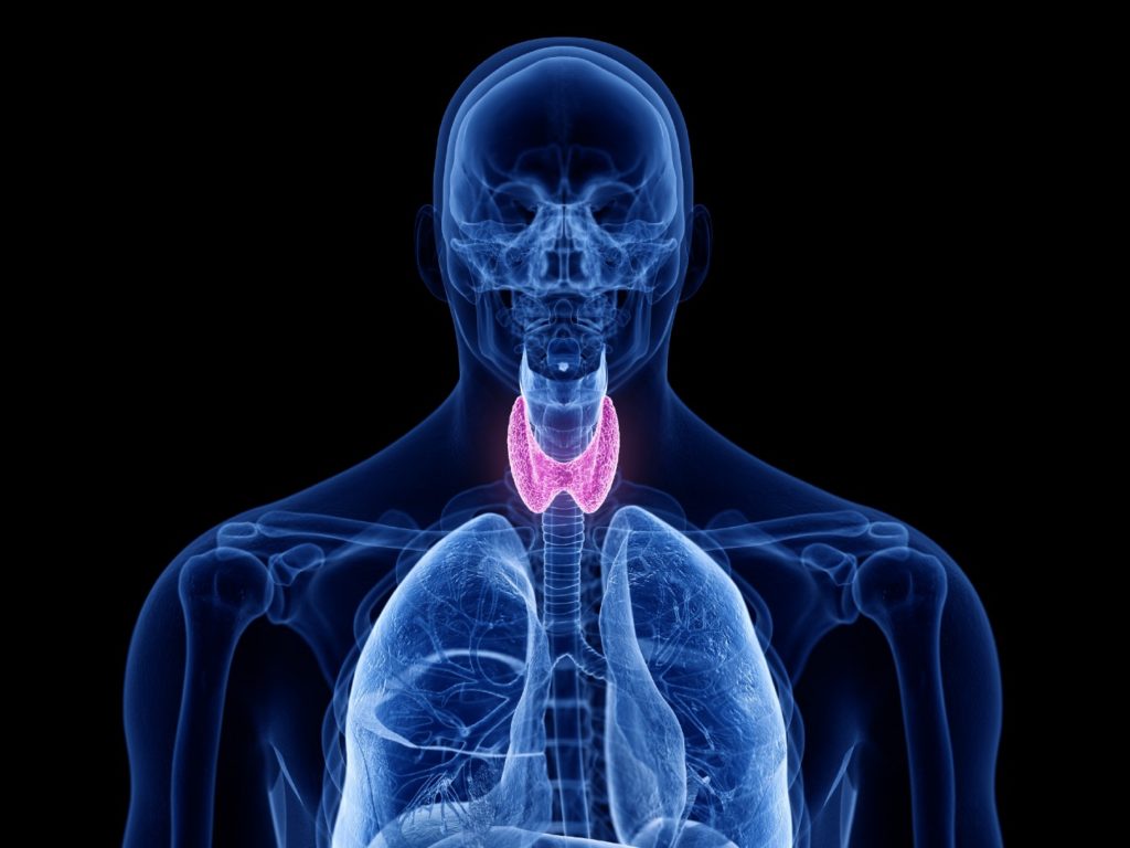 thyroid Hashimotos treatment Avon Connecticut